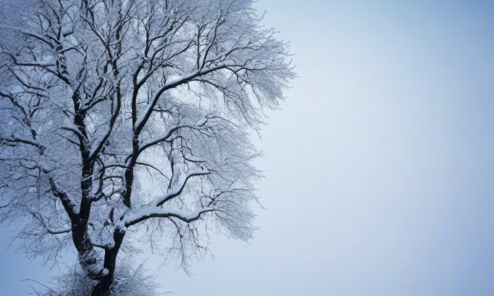 Beztahov – winter