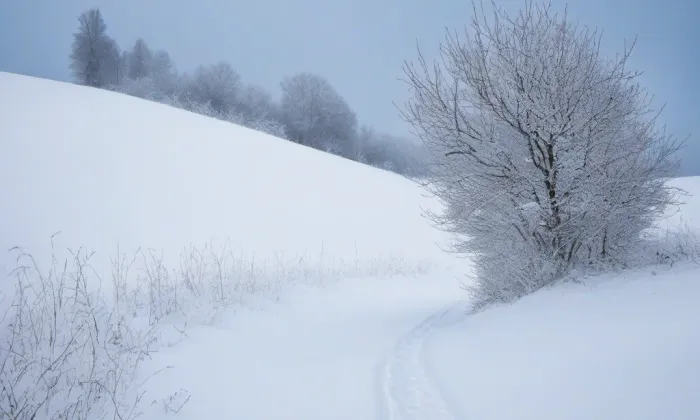 Biskupská rezidence v Českých Budějovicích – winter