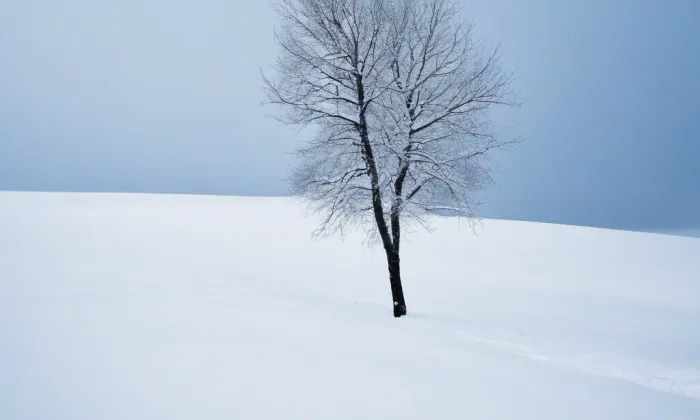 Biskupská zahrada – winter