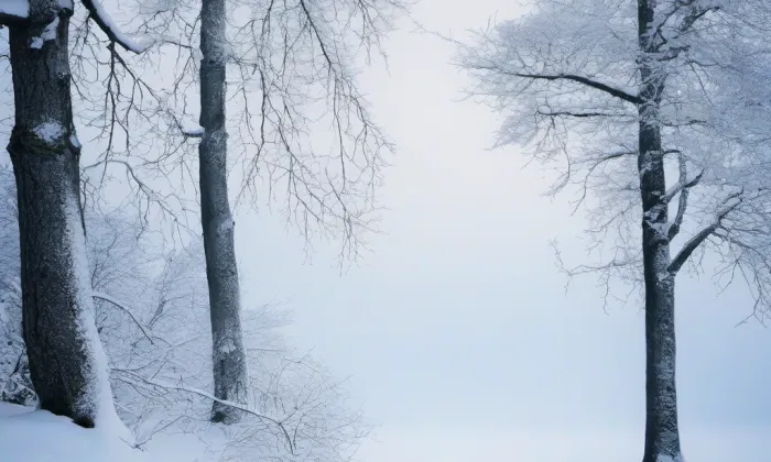 Bissingenský palác – winter