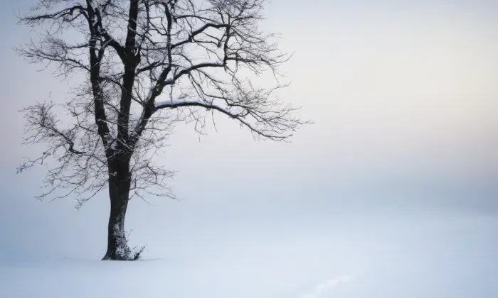 Blatná – winter