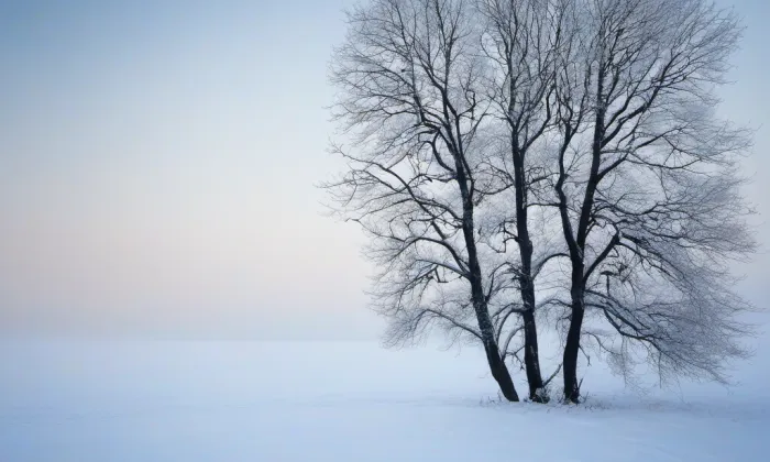 Bludovský hrad – winter