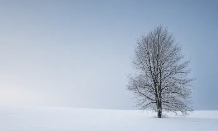 Boží muka a smírčí kříž – winter