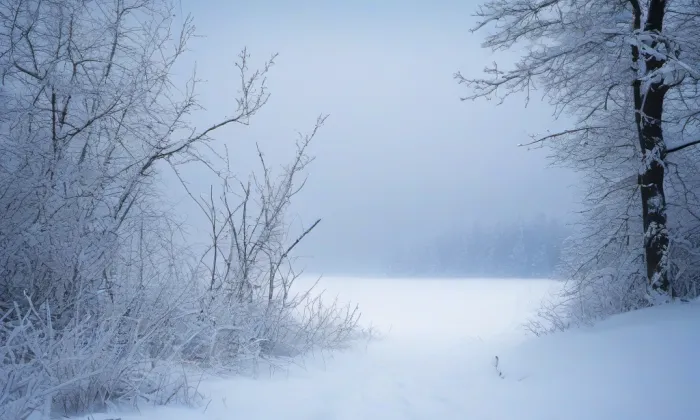 Boží muka se sousoším Piety – winter
