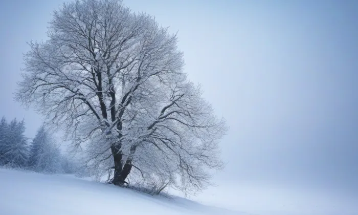 Bon Repos – winter