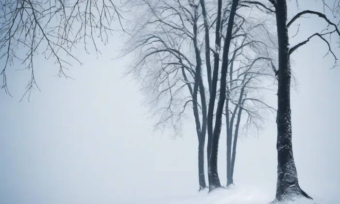Bono publico – winter