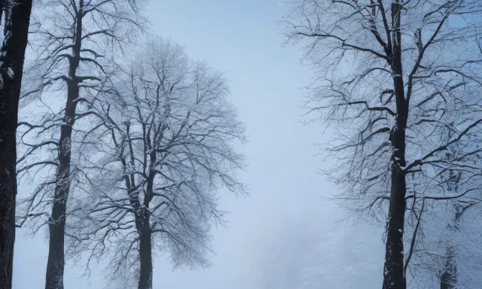 Boršegrýn – winter