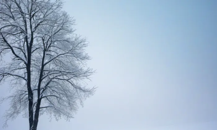 Borotín – winter
