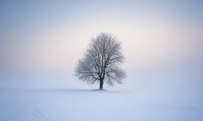 Boučkovo loutkové divadlo – winter