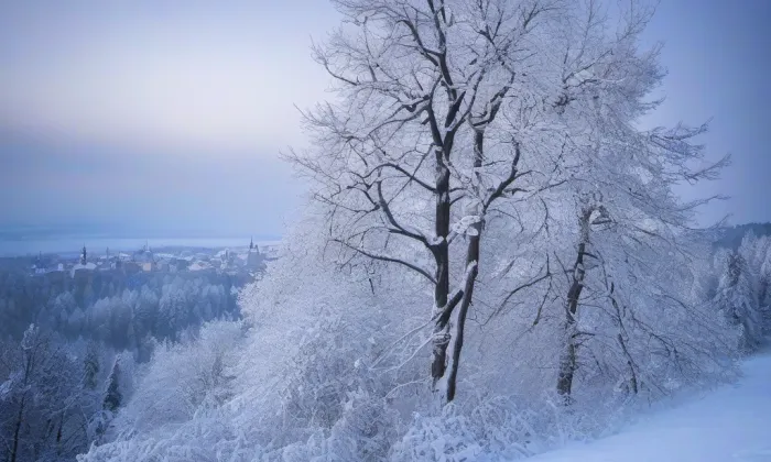 Boudy – winter