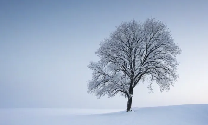 Bouzov – winter