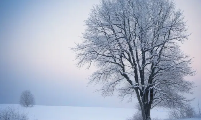 Bozeň – winter