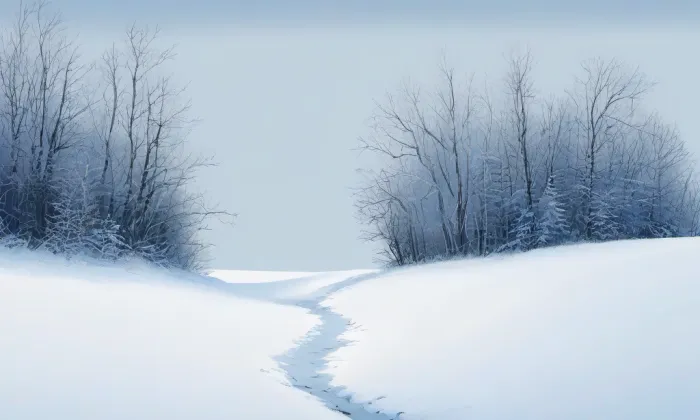 Brána, branka a sýpka usedlosti čp. 18 – winter
