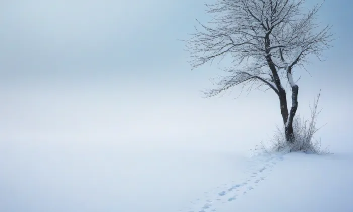 brána Matky Boží v Jihlavě – winter