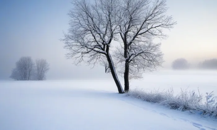 Brána svatého Benedikta – winter