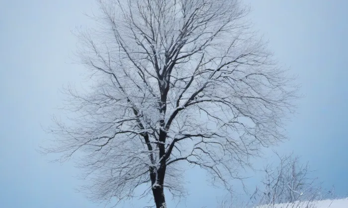 Bransouze – winter