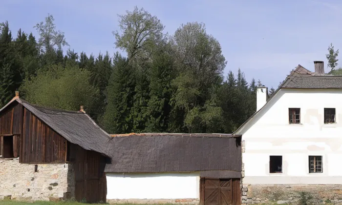 Brdičkův mlýn – historical