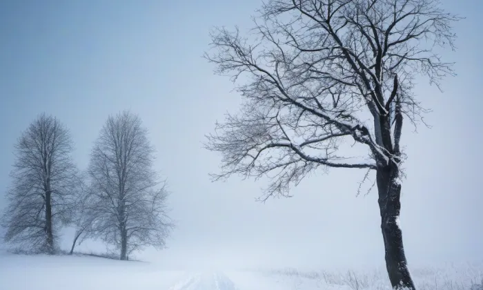 Brdičkův mlýn – winter