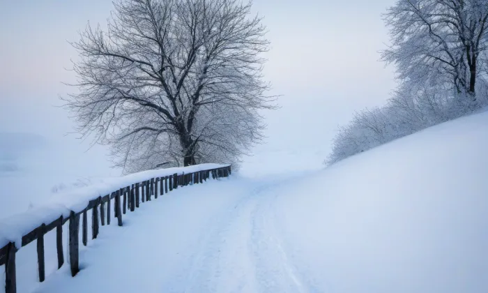 Brdo – winter