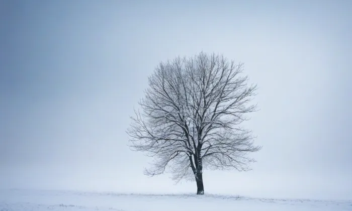 Bredovský letohrádek – winter