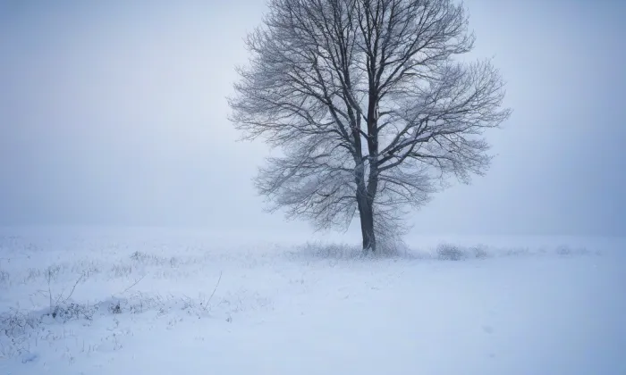 Breinlova vila – winter