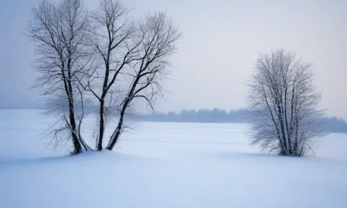 Broumovská skupina – winter