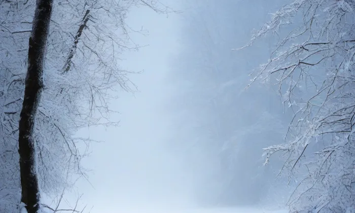 Budova Spolku výtvarných umělců Mánes – winter