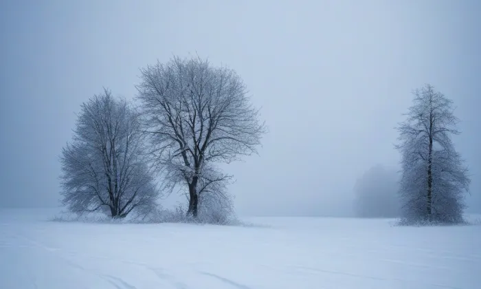 Budova Státní odborné školy koželužské – winter