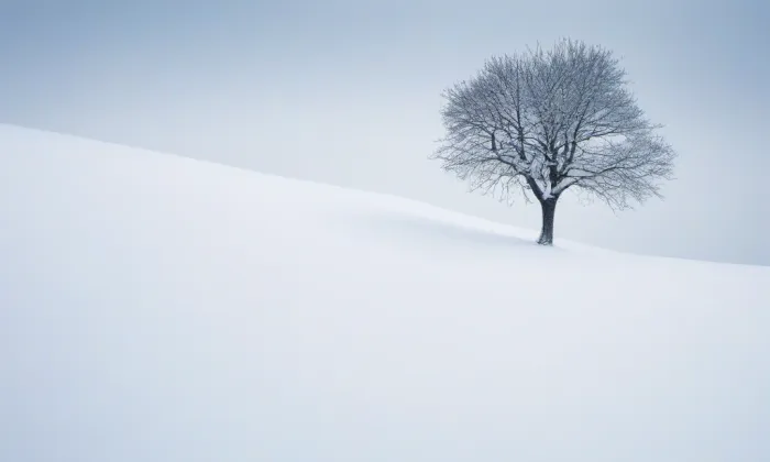 Budova Všeobecné fakultní nemocnice v Praze – winter