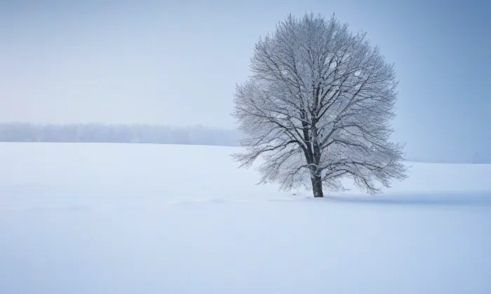 Busta Adama Mickiewicze – winter