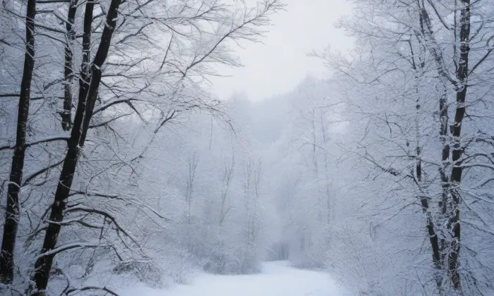 Císařský mlýn – winter
