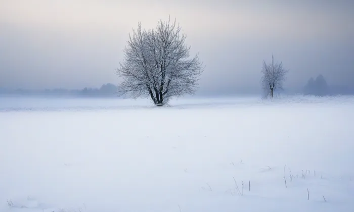 Císařský palác na Karlštejně – winter
