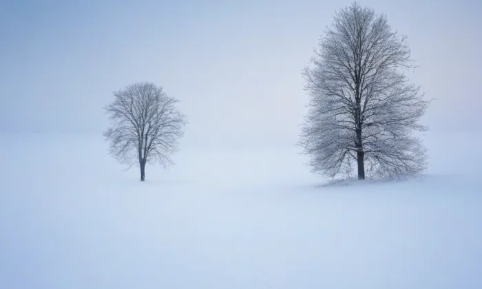 Centrální hřbitov v Českém Těšíně – winter