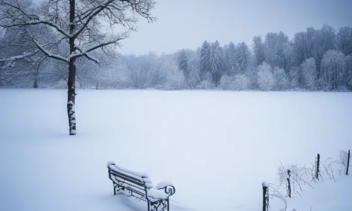 Centrální park Černý Most – winter