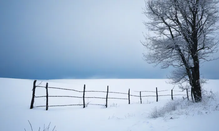 CEVRO Univerzita – winter