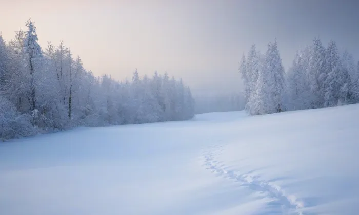 chrám Nejsvětější Trojice v Sokolově – winter