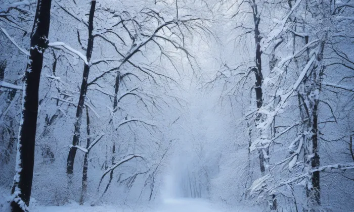 Chrám Spasitele – winter