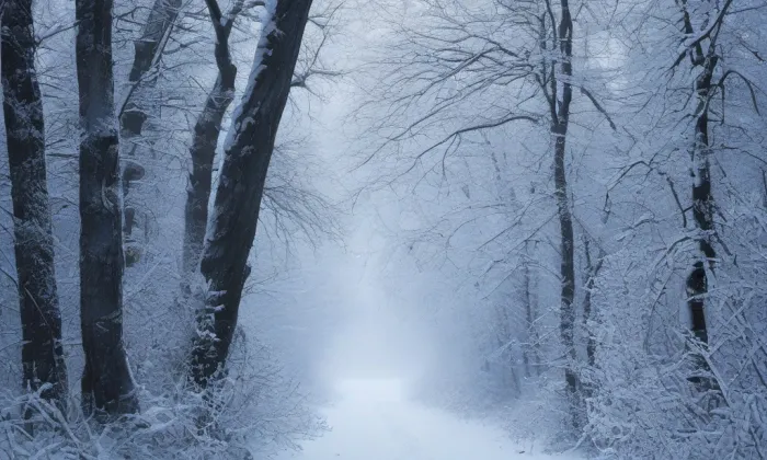 chrám svaté Barbory (Dolní Kounice) – winter
