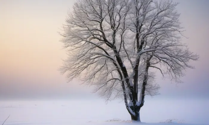 Chrám svatého Mikuláše – winter
