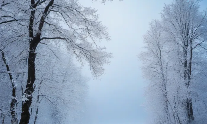 Chrám svatého Petra a Pavla – winter