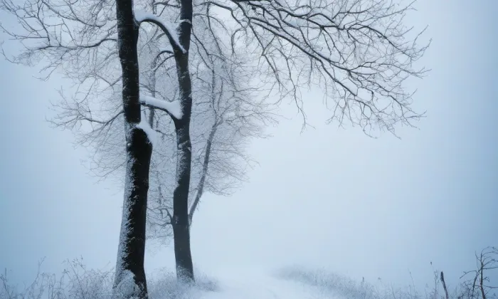 Cihelná brána – winter