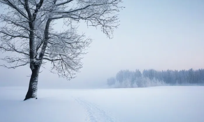 Dřevěná zvonice u kostela Stětí sv. Jana v Hostivaři – winter
