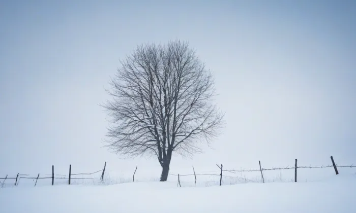 Důl Václav – winter