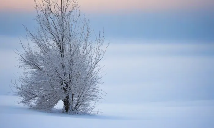 Dělnický dům, s pamětní deskou – winter