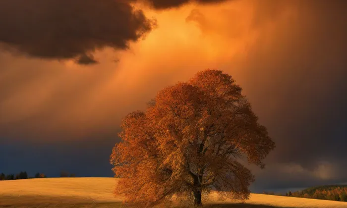 Dům Daliborka – autumn