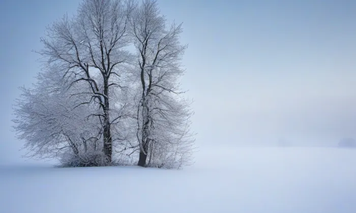 Dům Daliborka – winter