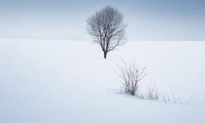 Dům kultury Inwest – winter