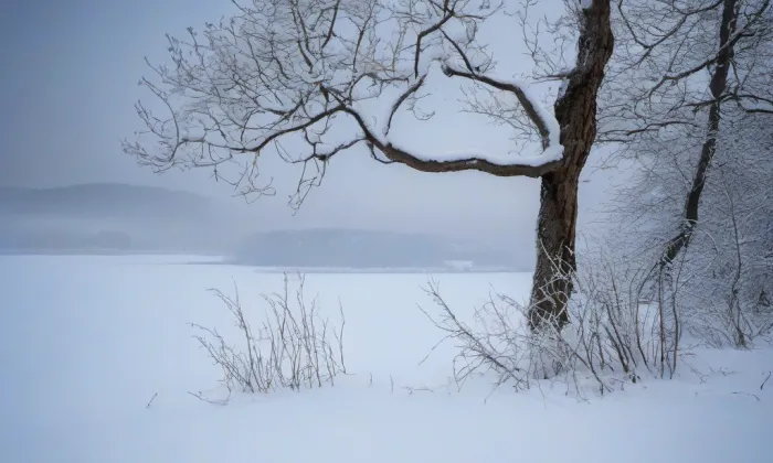 Darmyšl – winter