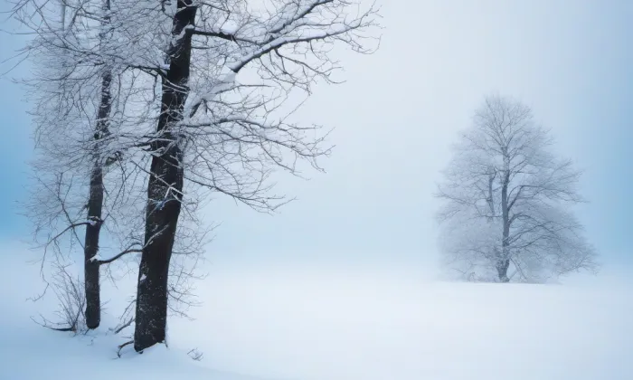 Deymovský palác v Praze – winter