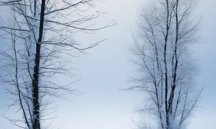 Distribuční trafostanice Kfely – winter